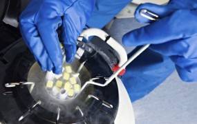 ¿Durante cuánto tiempo los embriones congelados siguen siendo viables?